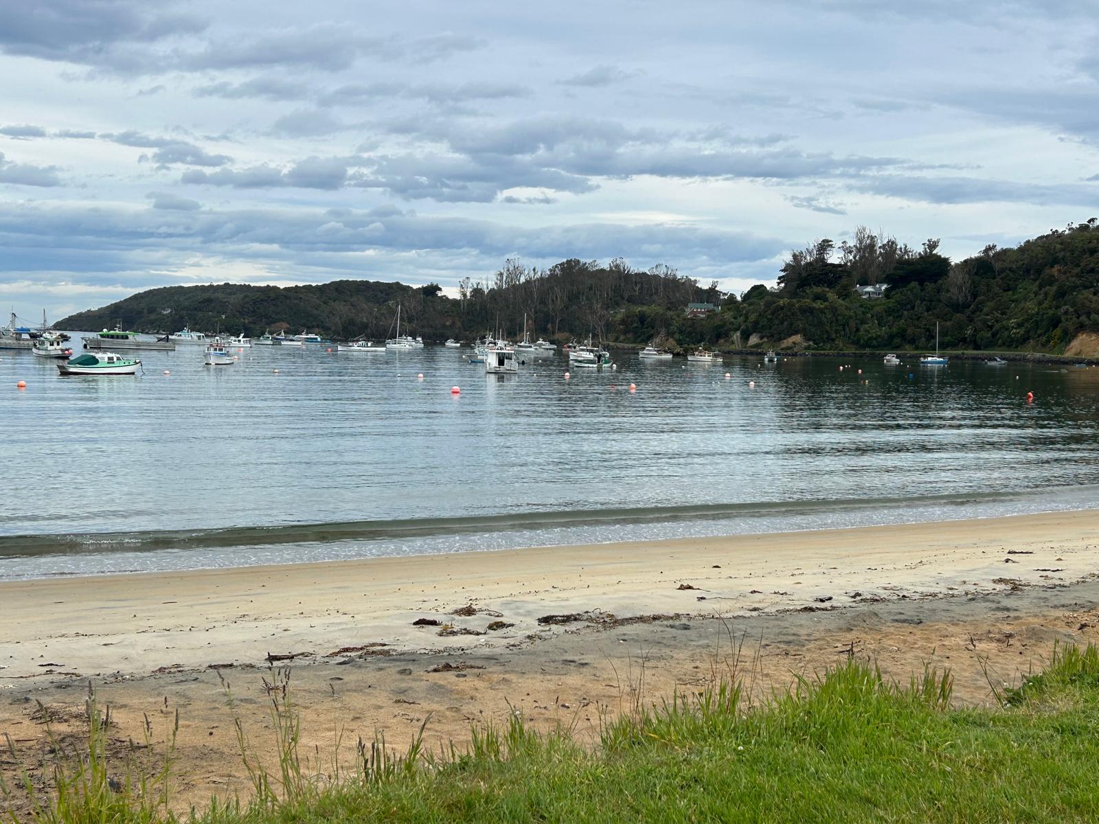 Stewart Island flight